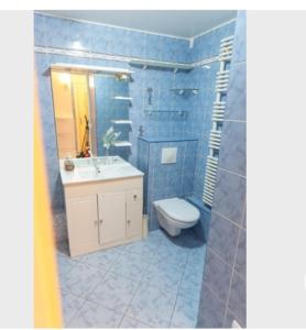 uma casa de banho em azulejos azuis com um WC e um lavatório em Studio calme et éclairé proche de Nation C em Paris
