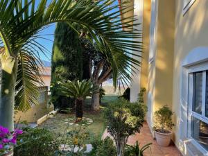 Ogród w obiekcie Villa Humboldt