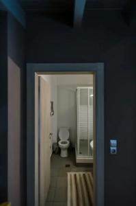 a bathroom with a toilet and a door to at Yvonne's Stone House in Arachova