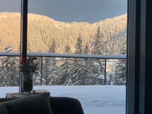 a window with a view of a snow covered mountain at Vila Relax in Donovaly