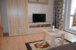 TV a/nebo společenská místnost v ubytování Apartmán Pleso, Štrbské Pleso
