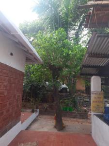 ein Baum in einem Innenhof neben einem Gebäude in der Unterkunft Triskelion - Bed and Breakfast, Family home stay by Joshi Brothers in Dapoli