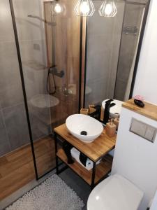 La salle de bains est pourvue d'un lavabo et d'une douche. dans l'établissement Faloviec Gdańsk, à Gdańsk