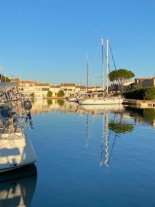 Příroda nedaleko ubytování na lodi