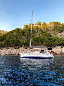 Příroda nedaleko ubytování na lodi