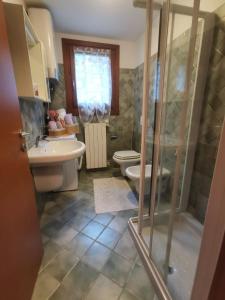 a bathroom with a shower and a toilet and a sink at APPARTAMENTO CORTAIOLO HOUSE in Vione