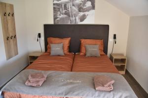 1 cama grande con 2 almohadas encima en Rochehaut, Les Semoiselles, Villa Charlotte, en Bouillon