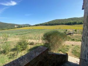uma vista para um campo a partir de uma casa em Agriturismo Pian Di Meta Vecchia em Castiglione dʼOrcia
