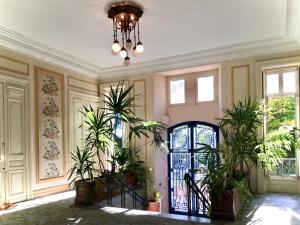 CapvernにあるPYRENE HOLIDAYS- Résidence Le Grand Hôtel - Studio lumineux à 2 pas des thermes de Capvern Les Bainsの鉢植えと錬鉄製の門のある部屋