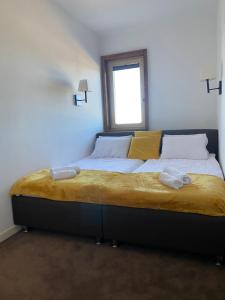 a large bed in a room with a window at Apartman Sky View, Župa Wellness & Spa u Centru Kopaonika in Kopaonik +13 photos