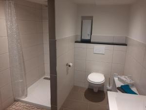Un pequeño baño con inodoro y ducha. en Ferienhaus Schmalkalden, en Schmalkalden 12 fotos más