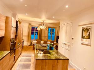 a kitchen and living room with a counter top at La Villa Alma Colmar in Colmar