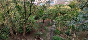 Zahrada ubytování Gulmohar Cottages - Home Stay in Alibag