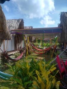 a resort with hammocks in the yard at Cabaña Beach Palomino in Palomino