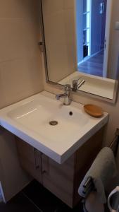 a bathroom with a sink and a mirror at Logement Privatif à 5min du lac de Rille in Savigné-sur-Lathan
