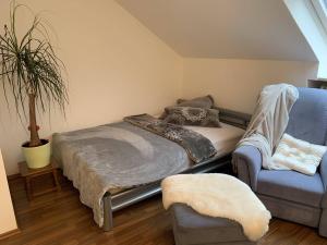 Hilter am Teutoburger Wald的住宿－2 - Zimmer Wohnung，一间卧室配有一张床、一张沙发和一把椅子