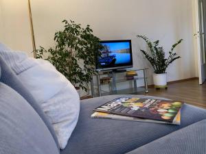 A television and/or entertainment centre at 2 - Zimmer Wohnung