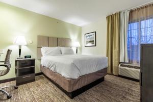 een hotelkamer met een groot bed en een raam bij Candlewood Suites Lincoln, an IHG Hotel in Lincoln