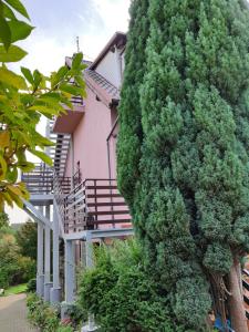 Zahrada ubytování Apartament Esja