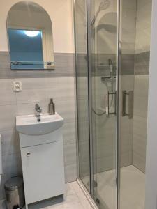 a bathroom with a sink and a shower at Apartament pod Zamkiem Chojnik in Jelenia Góra