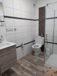uma casa de banho com um WC, um lavatório e um chuveiro em Ubytování na statku Račice em Račice