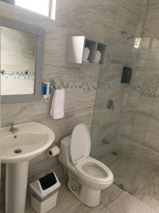 ein Bad mit einem WC, einem Waschbecken und einer Dusche in der Unterkunft Hotel Las Palmas de OSA in Ciudad Cortés