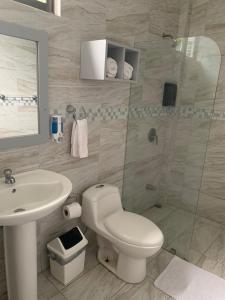 Imagen de la galería de Hotel Las Palmas de OSA, en Ciudad Cortés 72 fotos más