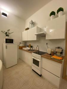 Η κουζίνα ή μικρή κουζίνα στο Apartmány u sv. Michaela