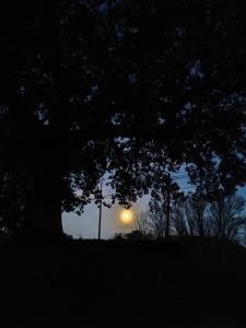 Fotografie z fotogalerie ubytování Relais de la poste suite v destinaci Monclar-de-Quercy