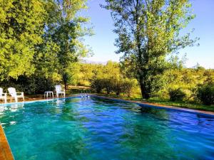 a swimming pool with blue water in a yard at Finca La Julia in Luyaba
