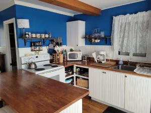 a kitchen with white cabinets and a blue wall at Les Chatons Azur - Chalet in Saint-Fabien