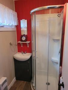 a bathroom with a shower and a sink at Les Chatons Azur - Chalet in Saint-Fabien