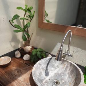 a sink in a bathroom with a mirror and a plant at Harry's Ocean House Pacitan in Pacitan