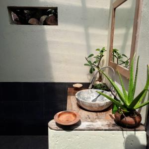 baño con un tazón de piedra y plantas en una encimera en Harry's Ocean House Pacitan, en Pacitan