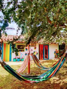 una hamaca colgando de un árbol delante de una casa en Galilea en Santa Elena