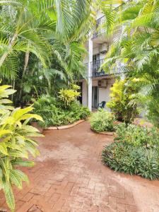 a garden area with a tree and shrubbery at Coconut Grove Holiday Apartments in Darwin