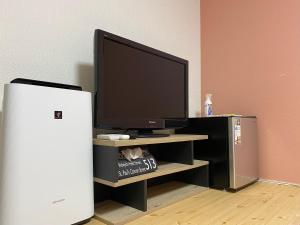 TV a/nebo společenská místnost v ubytování Guest House Suzumeno Kakurembo