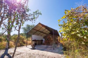 een kleine hut met een dak in het bos bij Namushasha River Camping2Go in Kongola