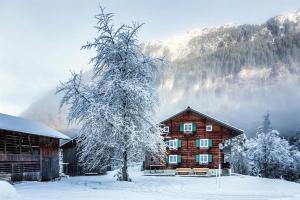 Ferienhaus Bergfrieden v zime