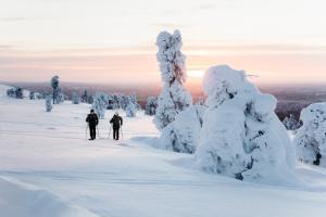 Lapland Hotels Sirkantähti v zimě