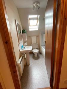 a bathroom with a sink and a toilet and a skylight at Lovely and Spacious 2BD Holiday Retreat Ballater in Ballater