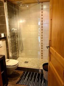 uma casa de banho com um chuveiro e um WC. em Studio Le 4122 - Chamonix centre Clos du Savoy em Chamonix-Mont-Blanc