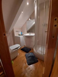 a bathroom with a shower and a toilet and a sink at Apartamento Monte Goriz in Candanchú