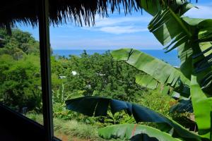 a window with a view of the ocean and trees at Colibri Lodge in Ambatoloaka