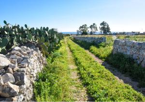 a stone wall next to a field with a cactus at monolocale il tramonto in Portopalo