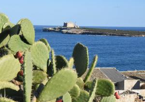 a cactus in front of the ocean with a house in the background at monolocale il tramonto in Portopalo