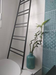a ladder next to a toilet with a plant in a vase at LA MAISON BLEUE, à 20 mn de Strasbourg, sur la route des vins, jusqu'à 6 personnes, Sélestat in Sélestat +45 photos