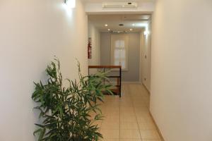 a hallway with a plant next to a wall at Apart Hotel Cabo San Diego in Ushuaia