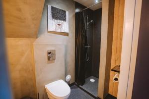 a small bathroom with a toilet and a shower at Brekkustova - Modern, cosy and spacious apartment in Klaksvík