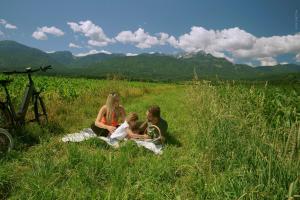 a family sitting in the grass in a field at Hotel Pachernighof in Velden am Wörthersee